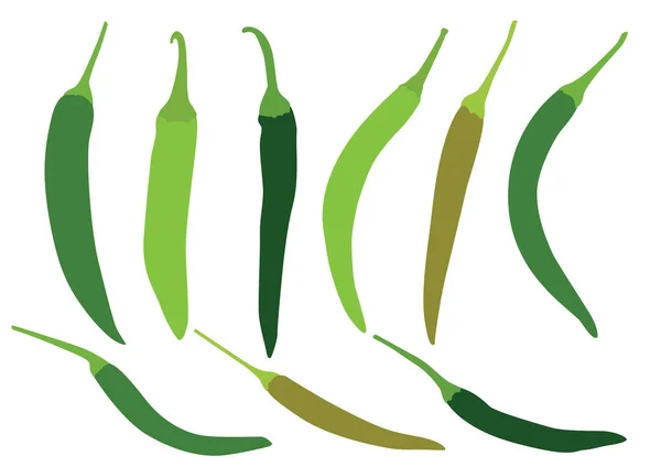 Green Chilli White Background Illustration Vector — Stock Photo, Image