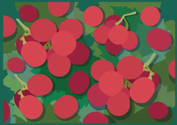 Szőlő Gyümölcs Leveles Zöld Háttér Tervezés Illusztráció Vektor — Stock Fotó