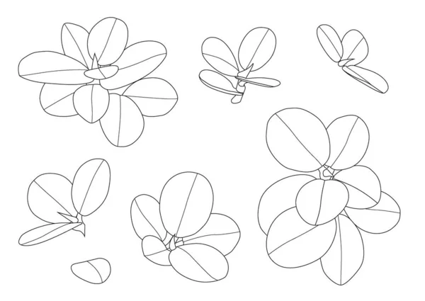 A4Leaves line single leaf and leaf pattern black Bring to color decorate on white background illustration  vector