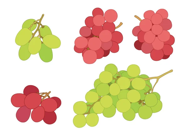 Uva Ribes Uva Passa Frutta Fresca Sfondo Bianco Illustrazione Vettore — Foto Stock