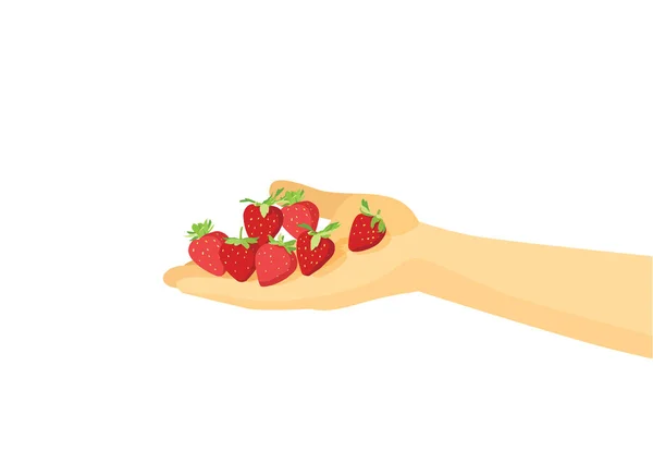 Strawberry Hand White Background Illustration Vector — Stock Photo, Image