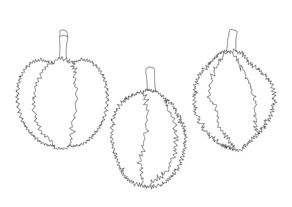 Linje Durian Frukt Vit Bakgrund Illustration Vektor — Stockfoto