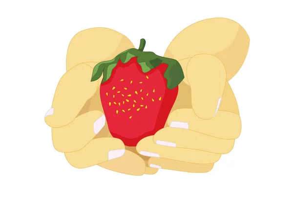 Strawberry Hand White Background Illustration Vector — Stock Photo, Image