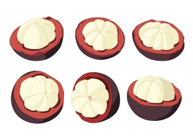 Mangosteen topları ve mangosteen yarım top beyaz arkaplan illüstrasyon vektöründe güzel bir renk yemek için