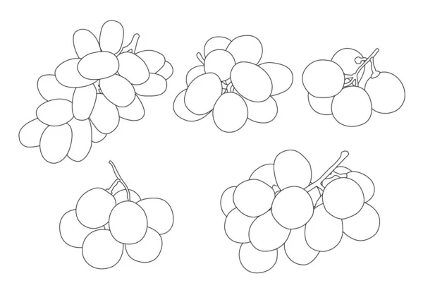 Vonal Szőlő Ribizli Mazsola Gyümölcs Fehér Háttér Illusztráció Vektor — Stock Fotó