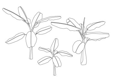 Beyaz arkaplan illüstrasyon vektörü üzerinde çizgi muz ağacı