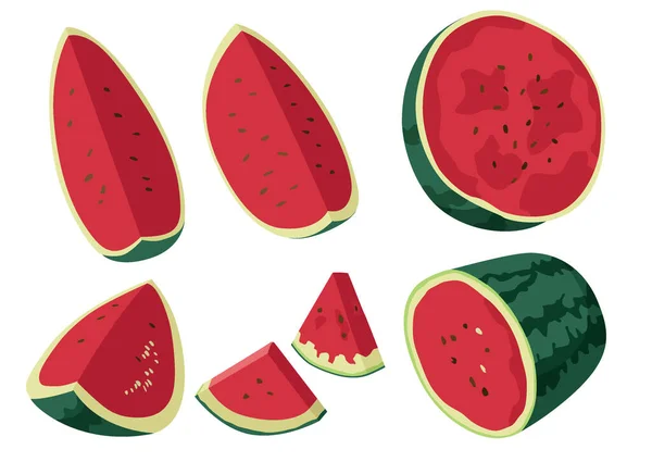 Wassermelone Früchte Frisch Auf Weißem Hintergrund Illustration Vektor — Stockfoto