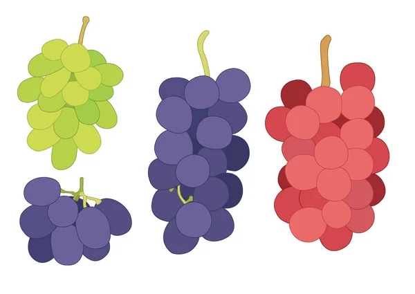 Trauben Johannisbeere Und Rosinen Früchte Frisch Auf Weißem Hintergrund Illustrationsvektor Stockbild