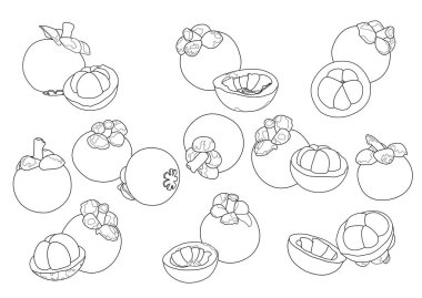 Beyaz arkaplan illüstrasyon vektörü üzerinde çizgi mangoson meyve deseni