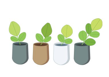 yeşil yapraklar saksılarda taze beyaz arkaplan illüstrasyon vektörü