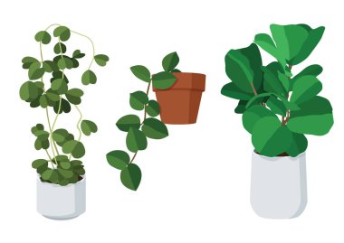 yeşil yapraklar saksılarda taze ve hava arındırma beyaz arkaplan illüstrasyon vektöründe