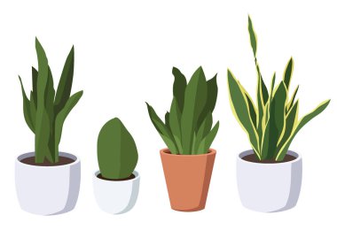 Saksı ağaçlarında ve beyaz arka planda hava temizliği