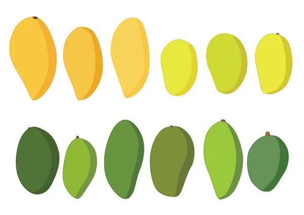 Mango Fresh Mango Ripe Isolated White Background Illustration Vector —  Fotos de Stock