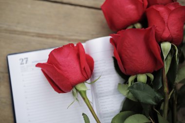 Kırmızı güller ve temiz bir sayfayla