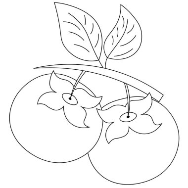 Çocuk boyama, ikonlar, web, kartpostallar, dekor, paketleme, eşyalar için baskılar, defterler için kapaklar, oyuncaklar için kutular süslemesi, çıkartma, sırt çantası, bireysel öge ve benzerleri için kullanılabilir..