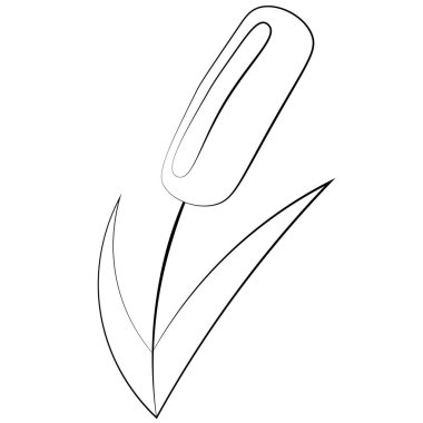 Kumaş ürünleri, kağıt ürünleri, ambalaj, duvar kâğıdı, dekor, defter, sosyal ağlar için iç ve arka plan vb..