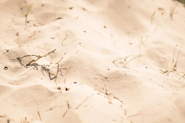 Top view Blur Sand a strandon dűne foltok száraz fű árnyék, lágy fókusz textúra. Háttér web design tapéta képernyővédő. Bézs színű fénykép — Stock Fotó