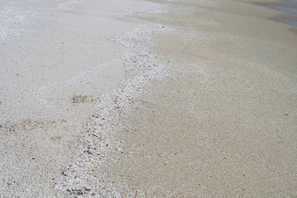 베이지는 리조트 스파의 휴식을 위한 스크린 세이버 웹 벽지 디자인을 한 갈색의 아름다운 자연 풍경을 연기 했다. 수많은 작은 불가사리 해 양 생물들이 해변 모래 표면에 알을 낳았습니다. 복사 공간 — 스톡 사진