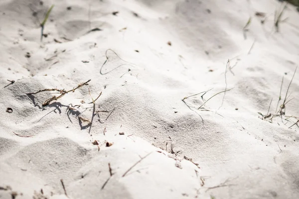 Вид сверху Пятно песка на дюне пляжа с пятнами сухой травы тени, мягкая текстура фокуса. Фон для веб-дизайна заставки обои. Тонированный фотосвет — стоковое фото