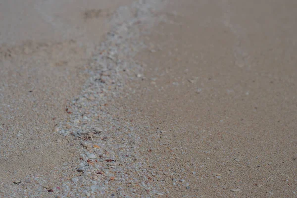 Bézs fawn barna gyönyörű természet háttér tervezés képernyővédő web tapéta üdülőhely spa pihenni. Egy csomó kis tengeri tengeri tengeri tengeri tengeri tengeri biomassza ivadékot helyezett el a tengerparti homok felszínén. Fénymásolási hely — Stock Fotó