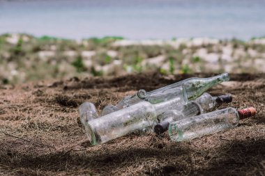 Close landfill old dirty transparent discarded empty glass alcohol drinks bottles trash on ground forest nature sea park. Alcoholism addiction problem bad habits, ecology issues environment pollution