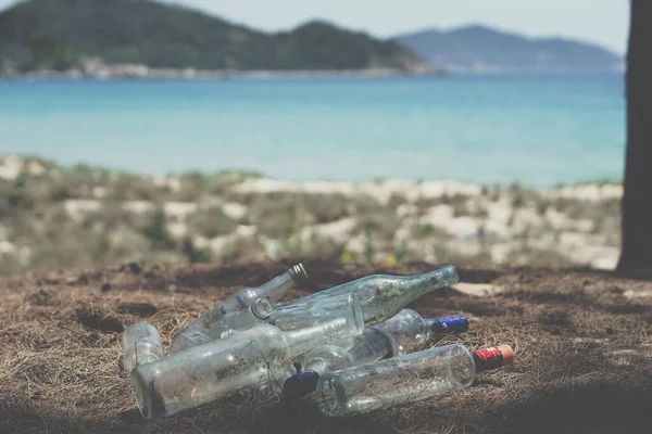 Close landfill old dirty transparent discarded empty glass alcohol drinks bottles trash on ground forest nature sea park. Alcoholism addiction problem bad habits, ecology issues environment pollution — Stok Foto