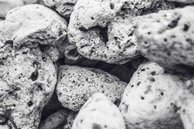 Soyut Bileşim Yapılandırılmış arkaplan. Gizemli bir ruh hali. Yakın görüş, kuru yuvarlak taş şekilli ve biçimsiz deniz mercan grubu, beyaz gri renk, pürüzlü yüzey. Web pankartı arkaplan tasarımı için ideal