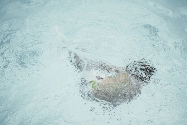 Soyut fotoğraf yaşam tarzı, doğa geçmişi. Suyun altında tanınmayan bir insan vücudu, yüzeye bak. Gizemli bir ruh hali. Ağırlıksız, belirsiz gelecek kavramı, belirsizlik içinde boğulma, çocukluk sorunları