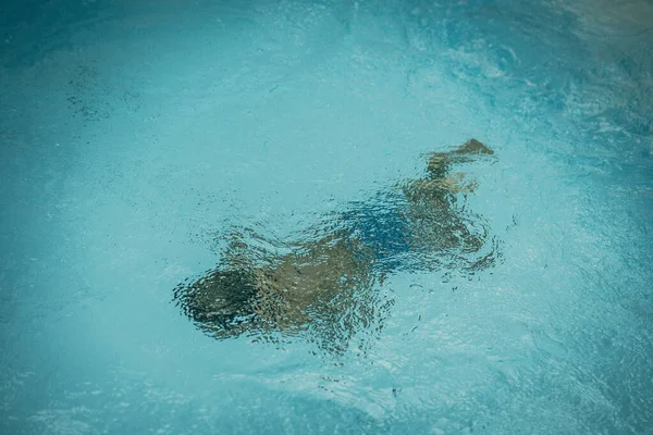 Soyut fotoğraf yaşam tarzı, doğa geçmişi. Suyun altında tanınmayan bir insan vücudu, yüzeye bak. Gizemli bir ruh hali. Ağırlıksız, belirsiz gelecek kavramı, belirsizlik içinde boğulma, çocukluk sorunları