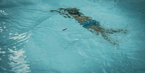 Soyut fotoğraf yaşam tarzı, doğa geçmişi. Suyun altında tanınmayan bir insan vücudu, yüzeye bak. Gizemli bir ruh hali. Ağırlıksız, belirsiz gelecek kavramı, belirsizlik içinde boğulma, çocukluk sorunları