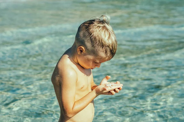 Ricevuto. Chiudere lato stile di vita ritratto ragazzo con attenzione premurosa sorpresa espressione facciale guardare le stelle marine bianche poco su palma. Giorno sole mare. Infanzia imparare nuovo interesse bambini turismo felice — Foto Stock