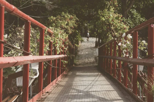 Jembatan besi pejalan kaki suspensi, perspektif melihat jalan setapak kosong ke taman hutan musim panas, sore hari. konsep cara maju, ketenangan, ketenangan. Efek Sepia Matte Vintage Stok — Stok Foto