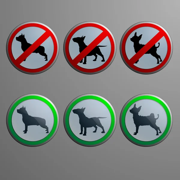 Rehber köpek ile
