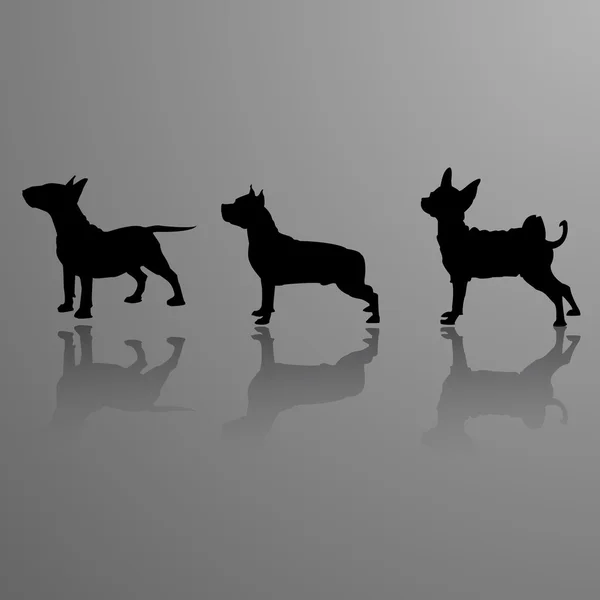 Köpek Silueti