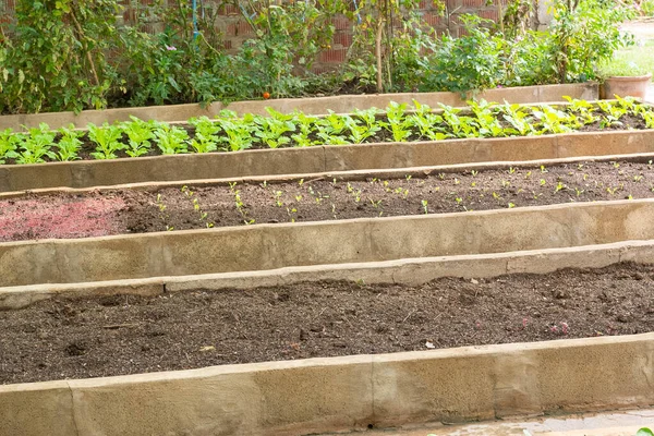 Parcelas Legumes Jardim Casa Loteamento Horta Comunitária Imagem De Stock