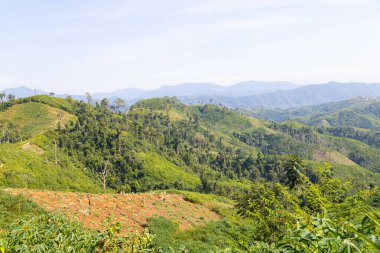 Organik manyok tarım arazisi, arazi temizliğinden sonra dağlık arazide ortaya çıkar. Doğal kimyasalsız tarım sürdürülebilir tarım, kırsal geçim, gıda güvenliği ve sorumlu arazi yönetimini destekler..