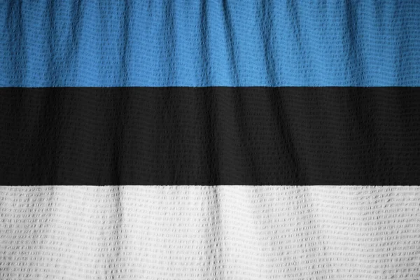 Primer plano de la bandera de Estonia con volantes, bandera de Estonia soplando en el viento — Foto de Stock