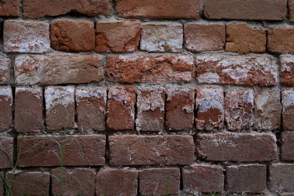 Oude Grunge Muur Textuur Achtergrond Modderige Textuur Grunge Achtergrond Oude — Stockfoto