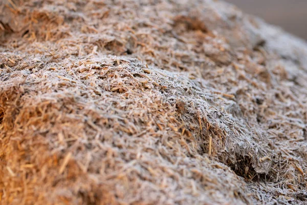 Dry Straw Agriculture Background Dry Straw Texture Background — Stock Photo, Image