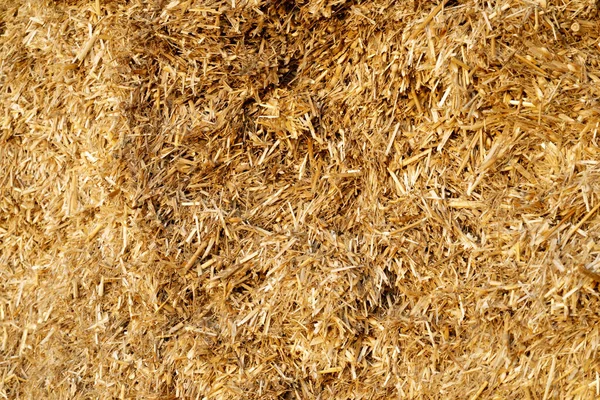 Dry Straw Agriculture Background Dry Straw Texture Background — Stock Photo, Image