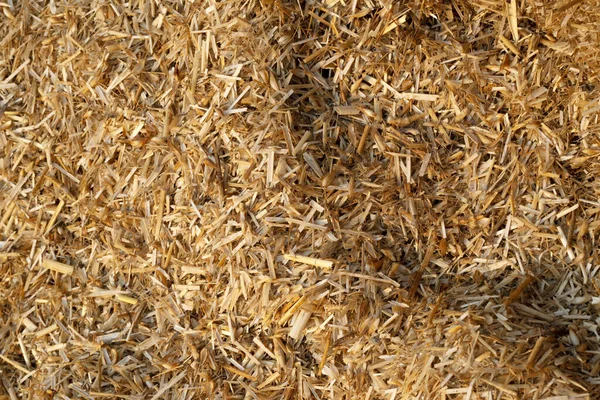 Dry Straw Agriculture Background Dry Straw Texture Background — Stock Photo, Image