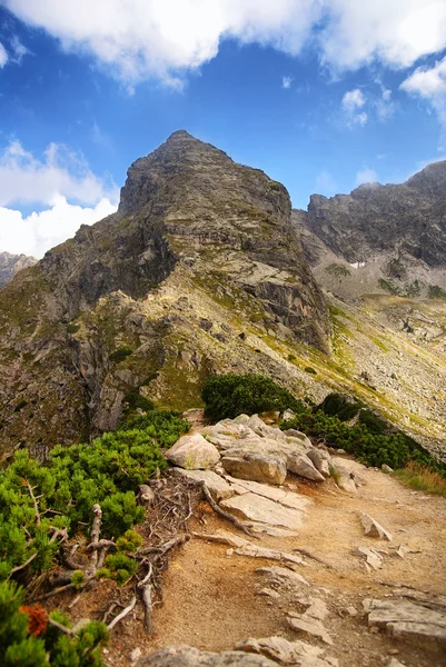 Hermoso panorama de las montañas de Tatra, jalá —  Fotos de Stock