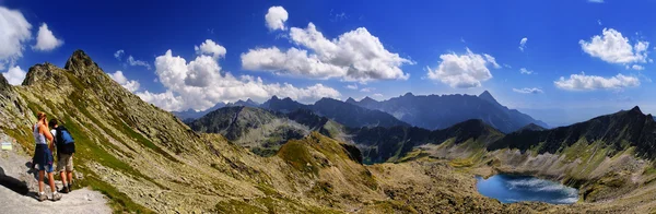 Красивая панорама Татр, включая Виноград — стоковое фото