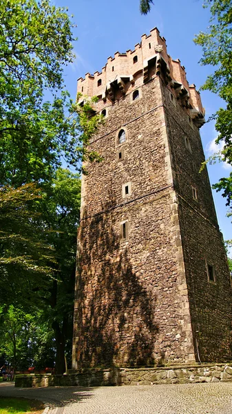 Romanska rotunda på Slottsbacken i cieszyn, Polen — Stockfoto