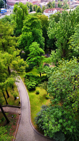 Замковый парк в Цешине на Замковой горе, Польша
