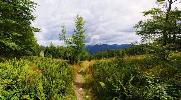 Beautiful panorama of mountains — Stock Photo, Image