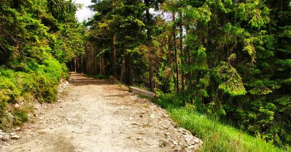 Wunderschönes Bergpanorama — Stockfoto