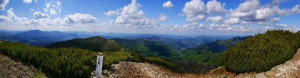 Babia berg i polska bergen. — Stockfoto