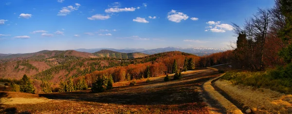 The trail to the Great Racza, Zwardoń, Beskid Żywiecki — Stock Photo, Image