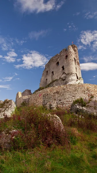 Tower of castle in Mirow riun — Stock Photo, Image